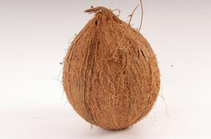 LEŠETICKÝ maso uzeniny - rozvoz zboží z eshopu Praha - Kokosový ořech  Honduras
